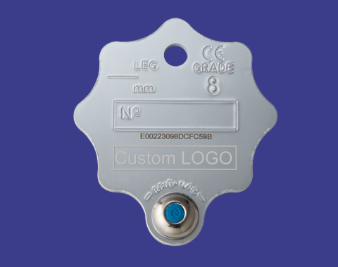 ALL_catalog_25I29_JjkeJg6mMo