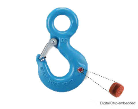 ALL_catalog_25I29_YdXJWXzEHU