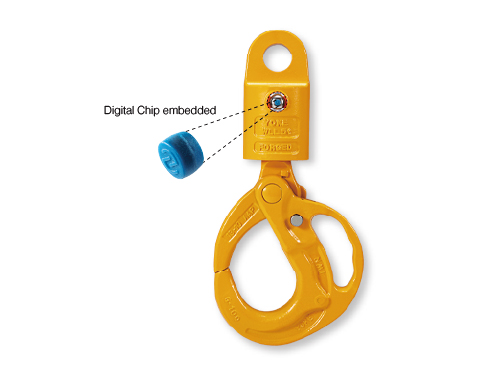 Eye & Safe Locking Hook
