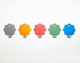 ALL_catalog_25I29_HAAFvTUOtK